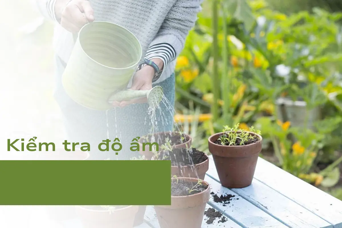 Kiểm tra độ ẩm