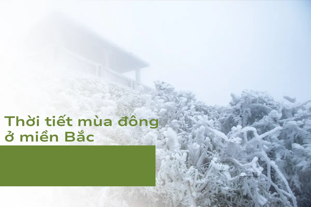 Thời tiết mùa đông miền Bắc như thế nào?