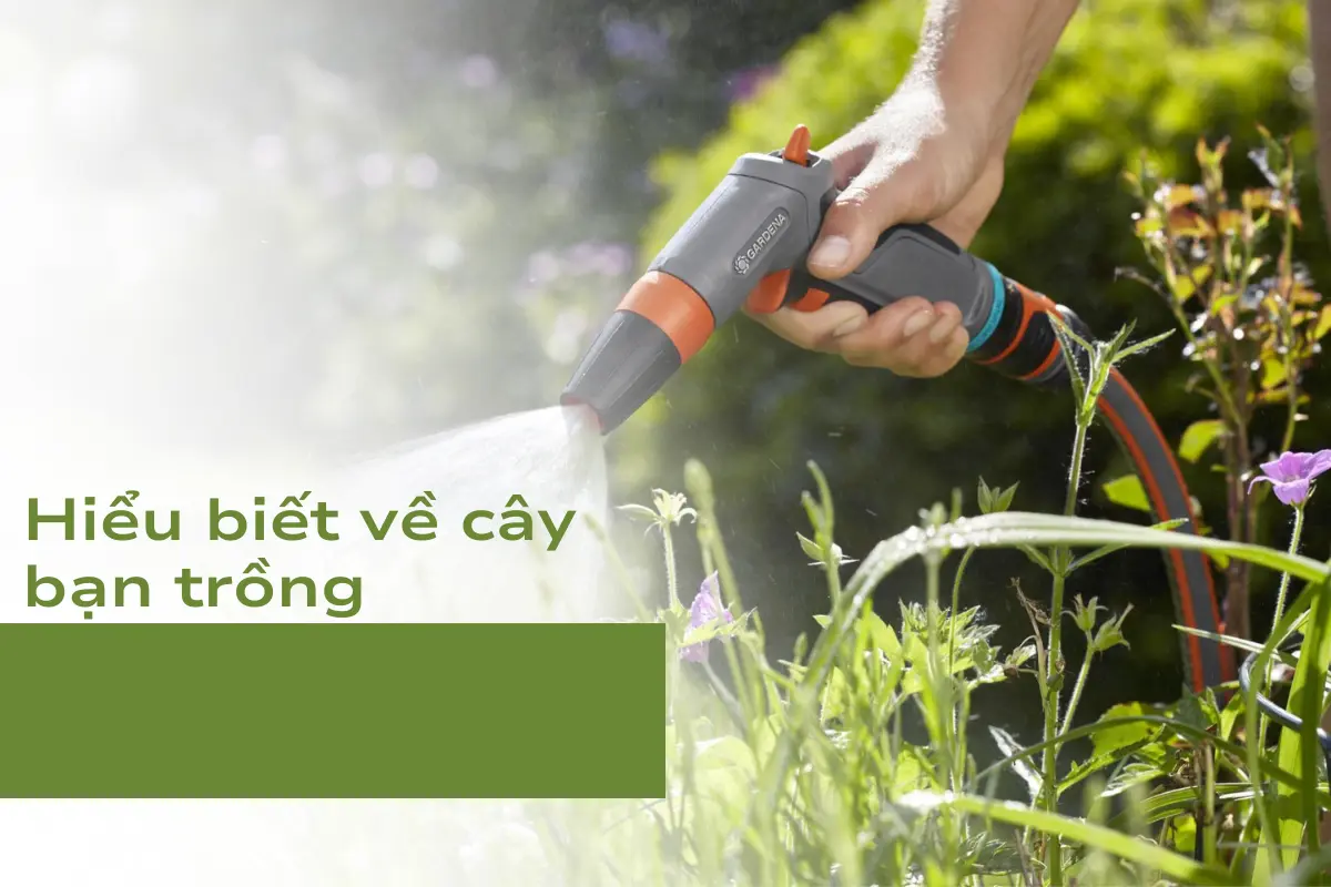 Hiểu biết về cây bạn trồng