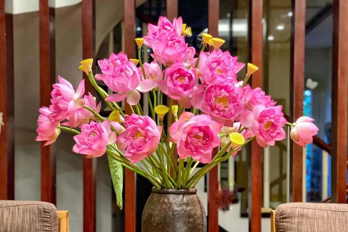 Mẹo chọn mua hoa chưng ngày Tết