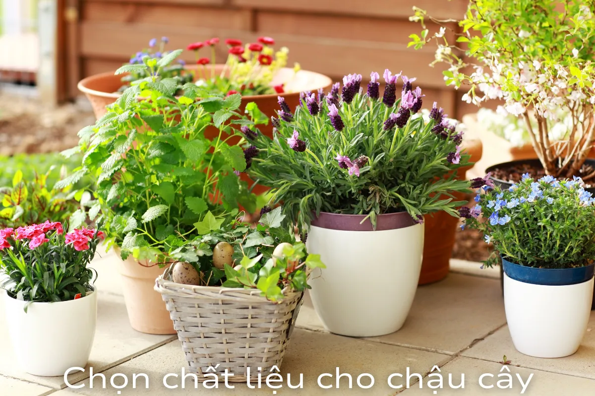 Chọn chất liệu cho chậu cây
