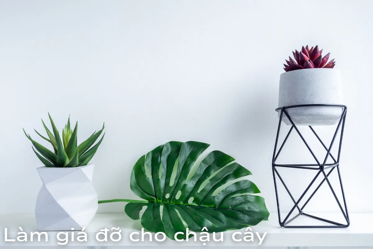 Chọn chậu có giá đỡ