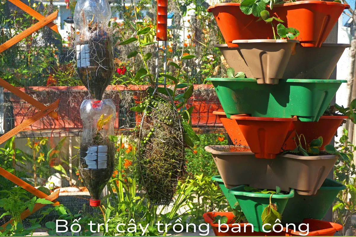 Cách bố trí cây trồng ban công