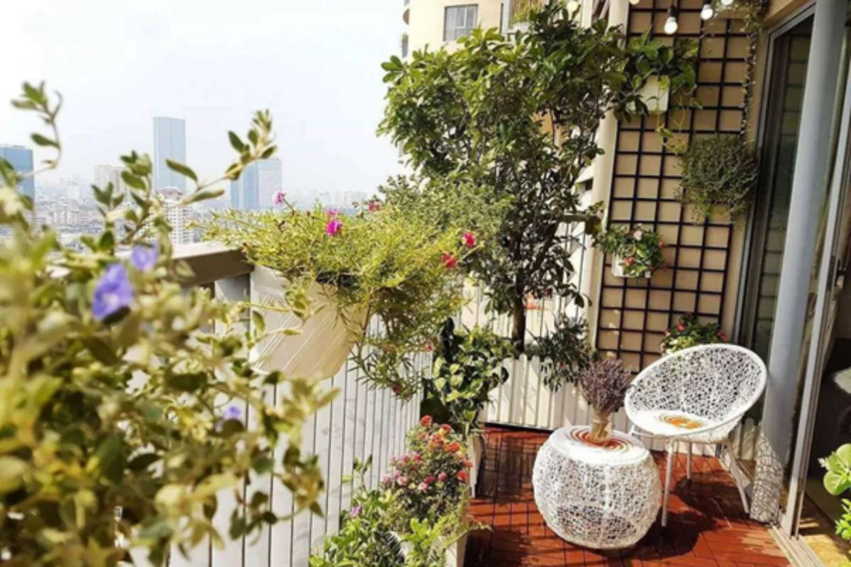 Những loài cây phù hợp cho nhà ở hướng Nam và Đông Nam