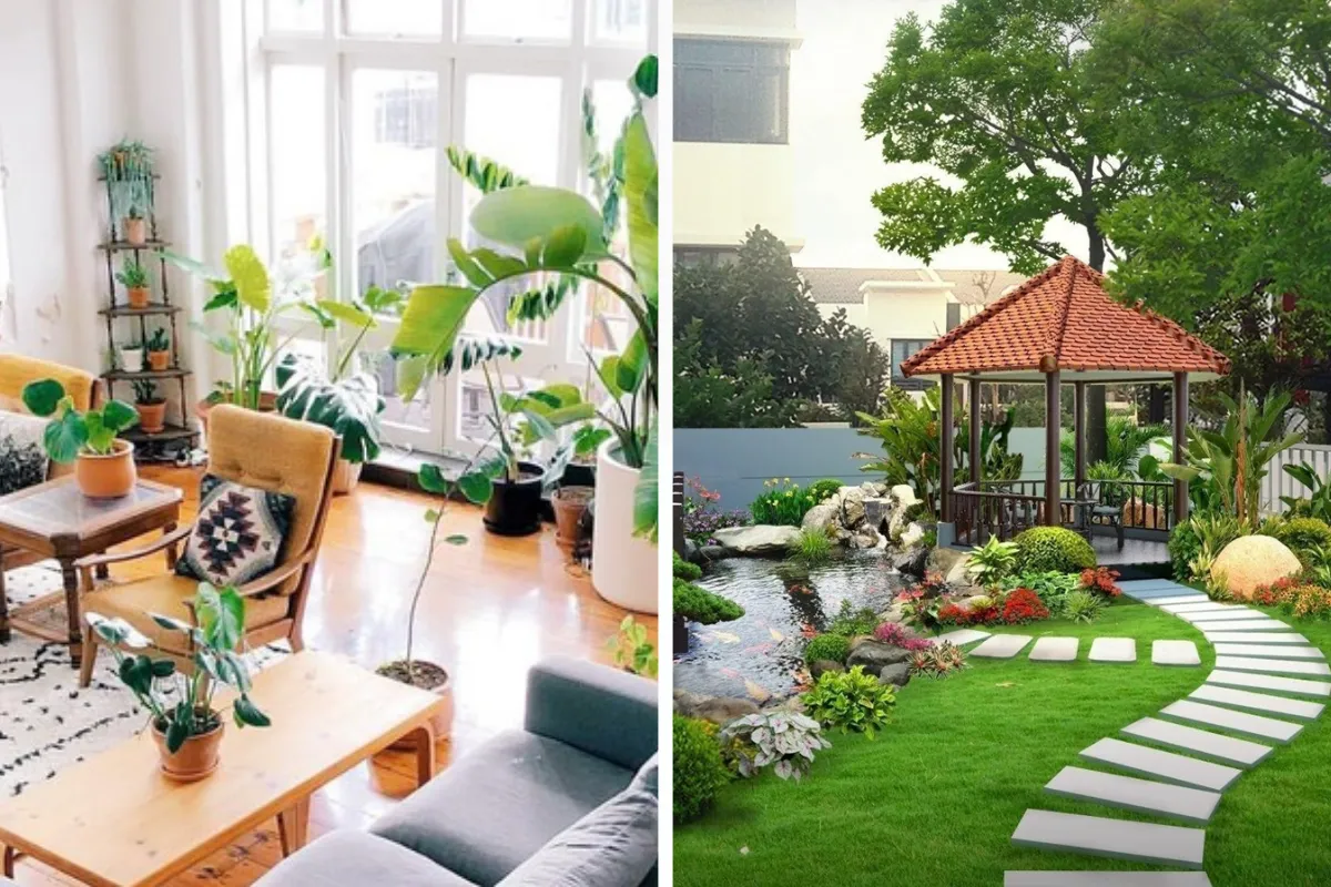 Cách phân loại dựa theo môi trường sống của cây