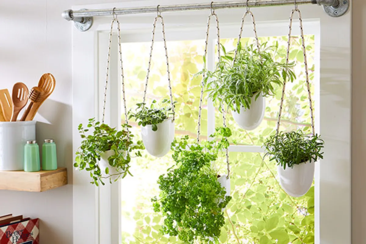 Sử dụng thanh rèm để tạo một bức màn xanh từ thiên nhiên