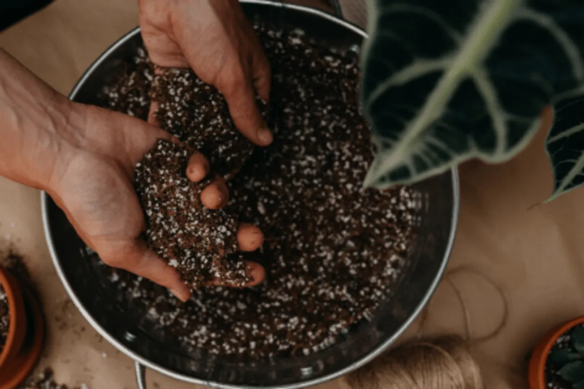 Thành phần cấu tạo của loại đá đặc biệt