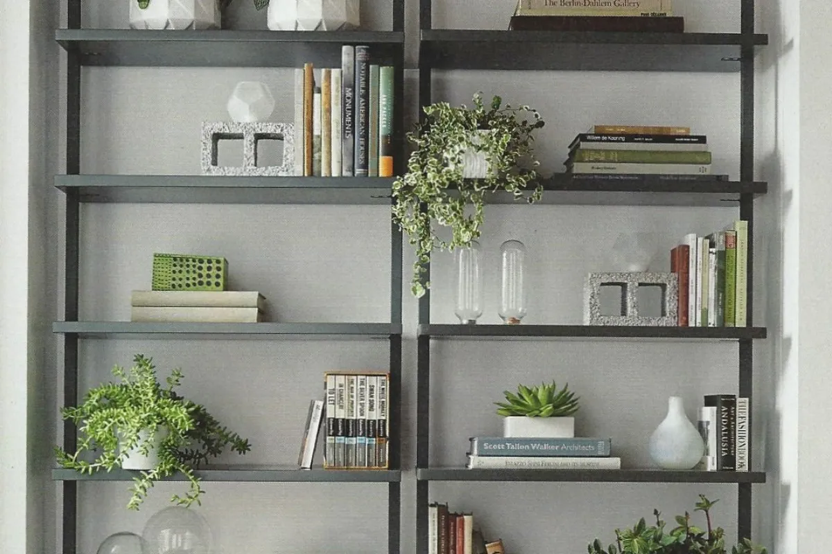 Thiết kế kệ sách để đặt cây cảnh