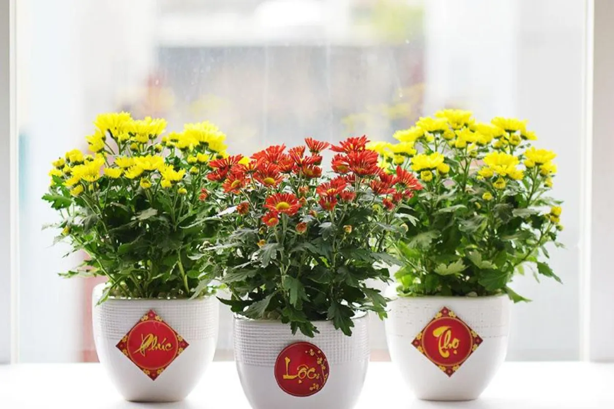 Tránh ánh nắng trực tiếp và nhiệt độ cao
