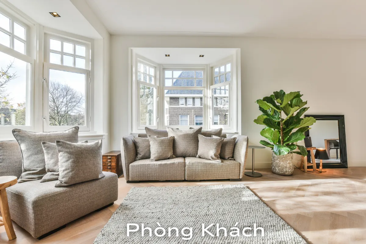 Vị trí đặt cây cảnh phong thủy gia tăng may mắn tài lộc cho ngôi nhà bạn