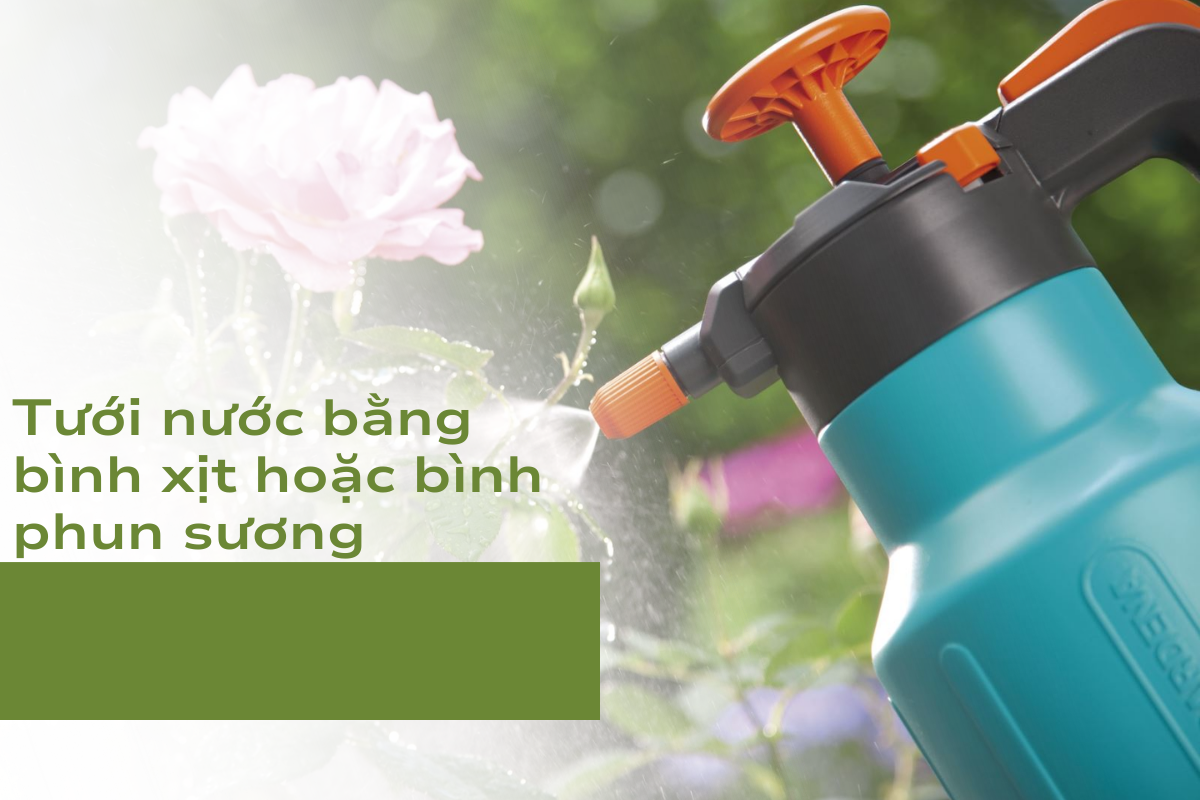 Phương pháp hỗ trợ trong nguyên tắc trồng cây: Tưới nước bằng bình xịt hoặc bình phun sương