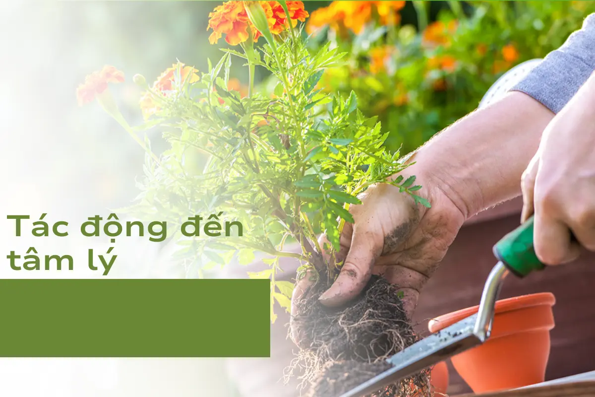 Cải thiện tâm trạng từ việc tác động đến tâm lý