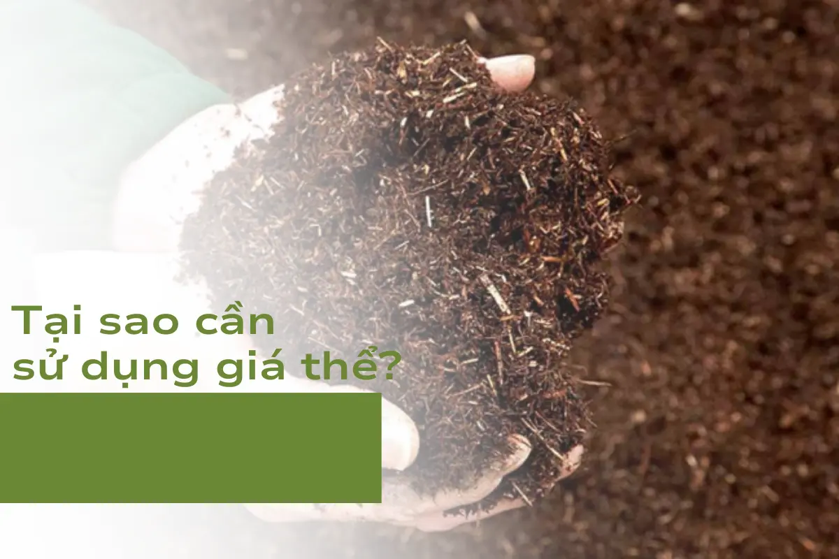Tại sao cần sử dụng giá thể?
