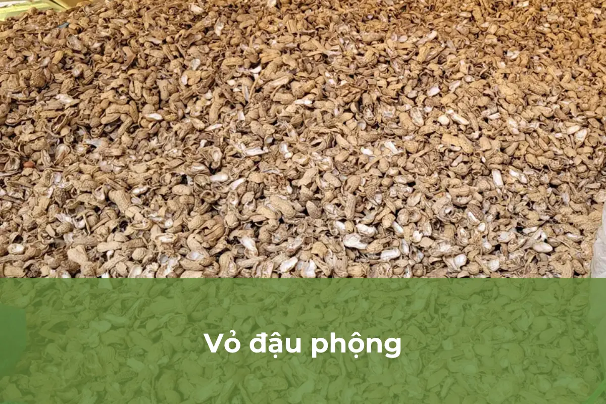 Vỏ đậu phộng