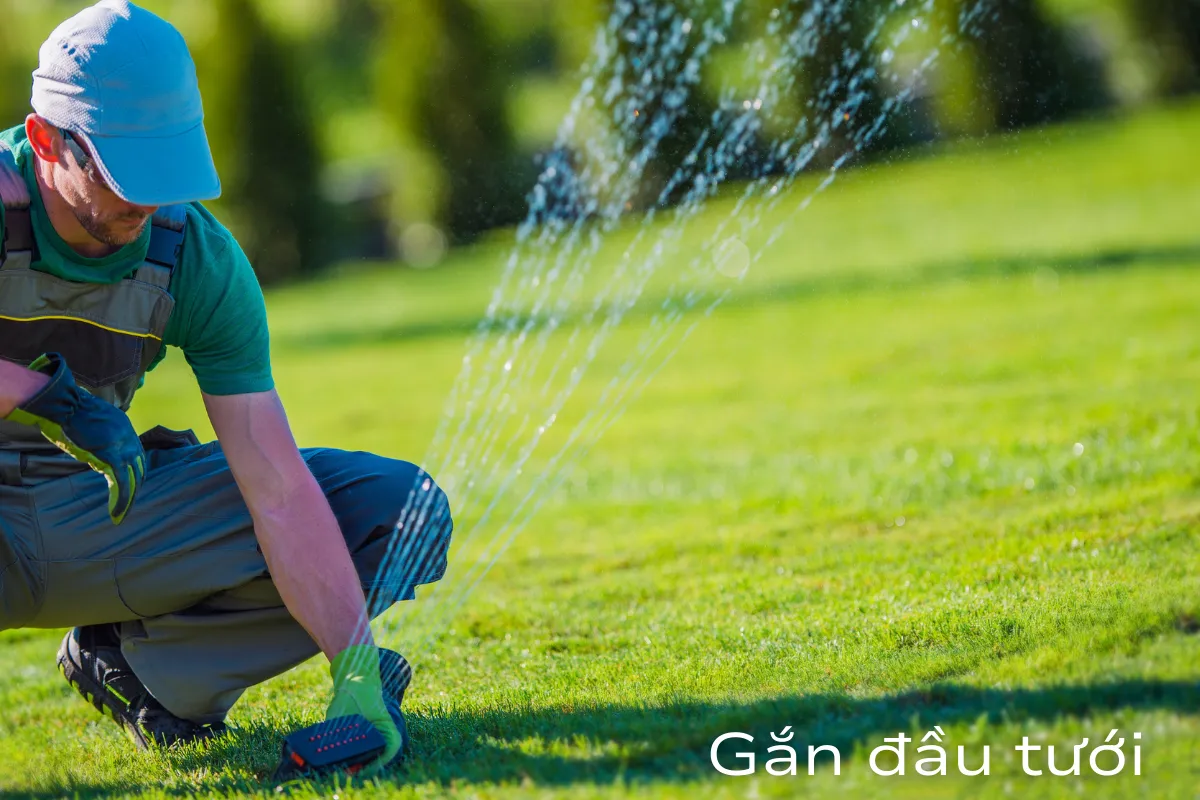 Gắn đầu tưới