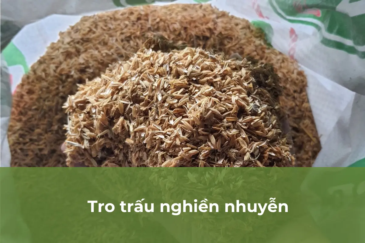 Tro trấu nghiền nhuyễn