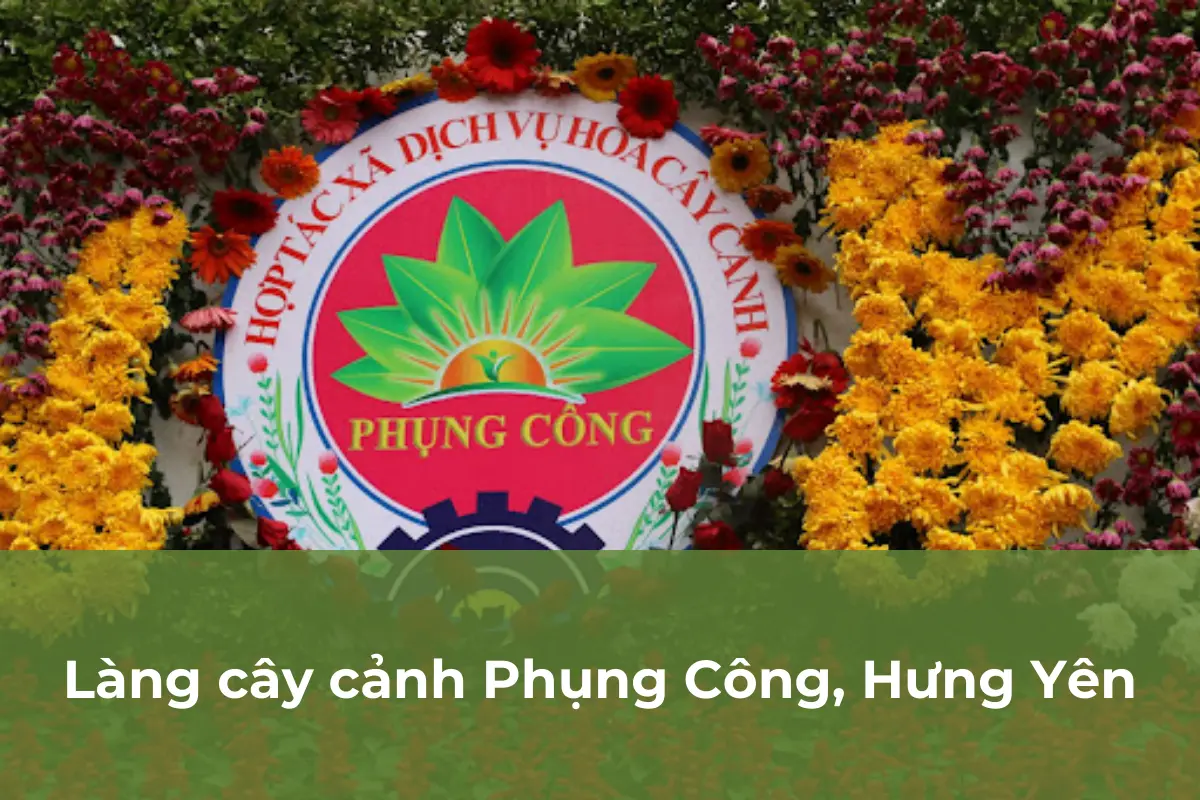 Phụng Công, Hưng Yên - Làng cây cảnh như “hơi thở xanh của miền Bắc”
