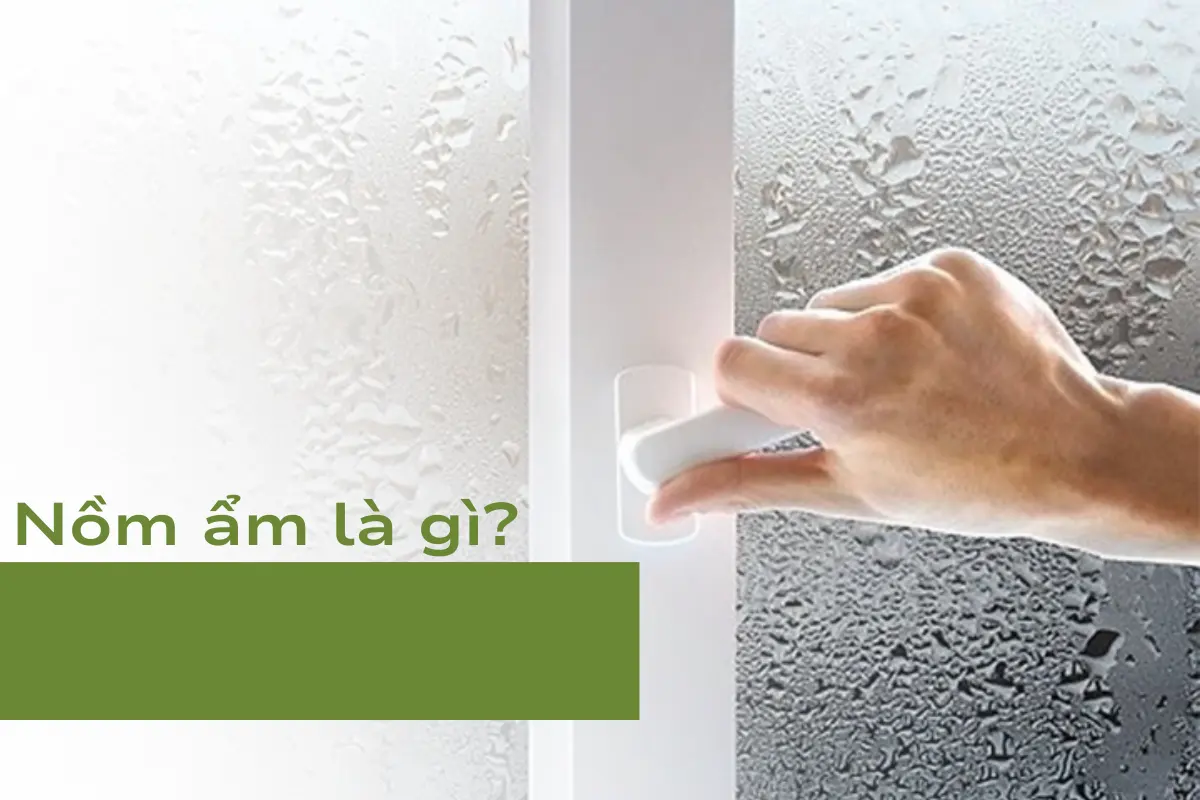 Nồm ẩm là gì?