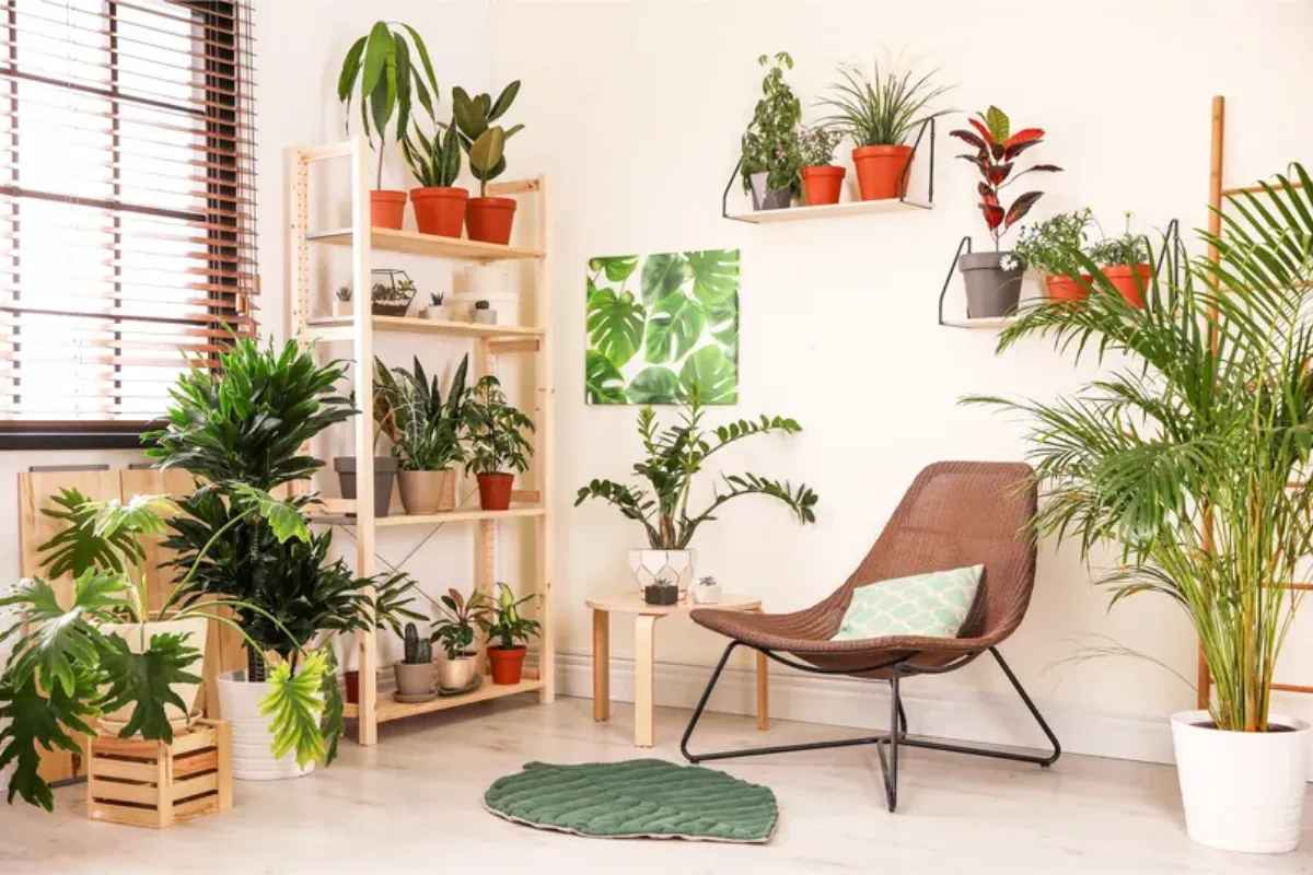 Tuổi Bính Thân và những cây phong thủy phù hợp
