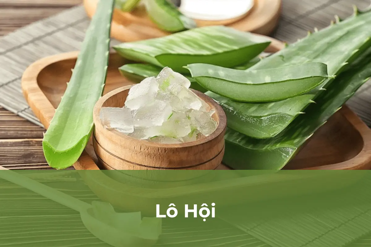 Lô Hội