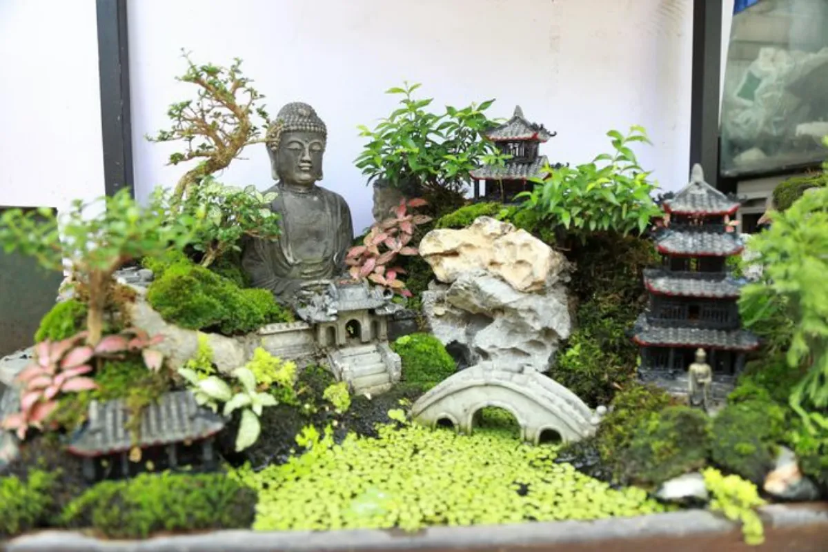 Vị trí đặt
