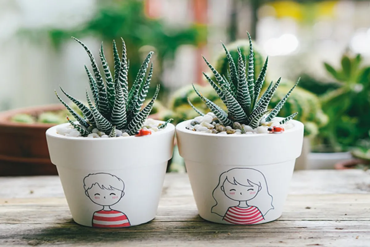 Vẻ đẹp mạnh mẽ và độc đáo
