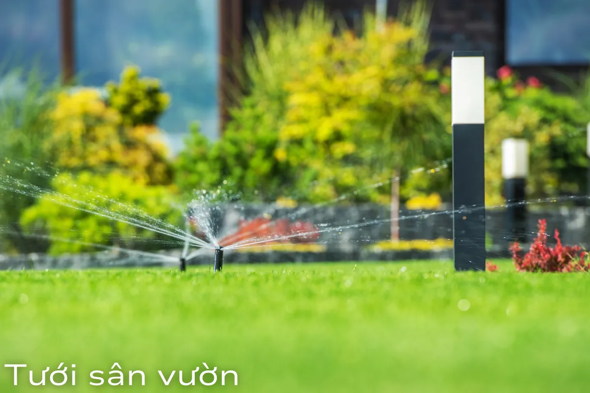 Tưới sân vườn