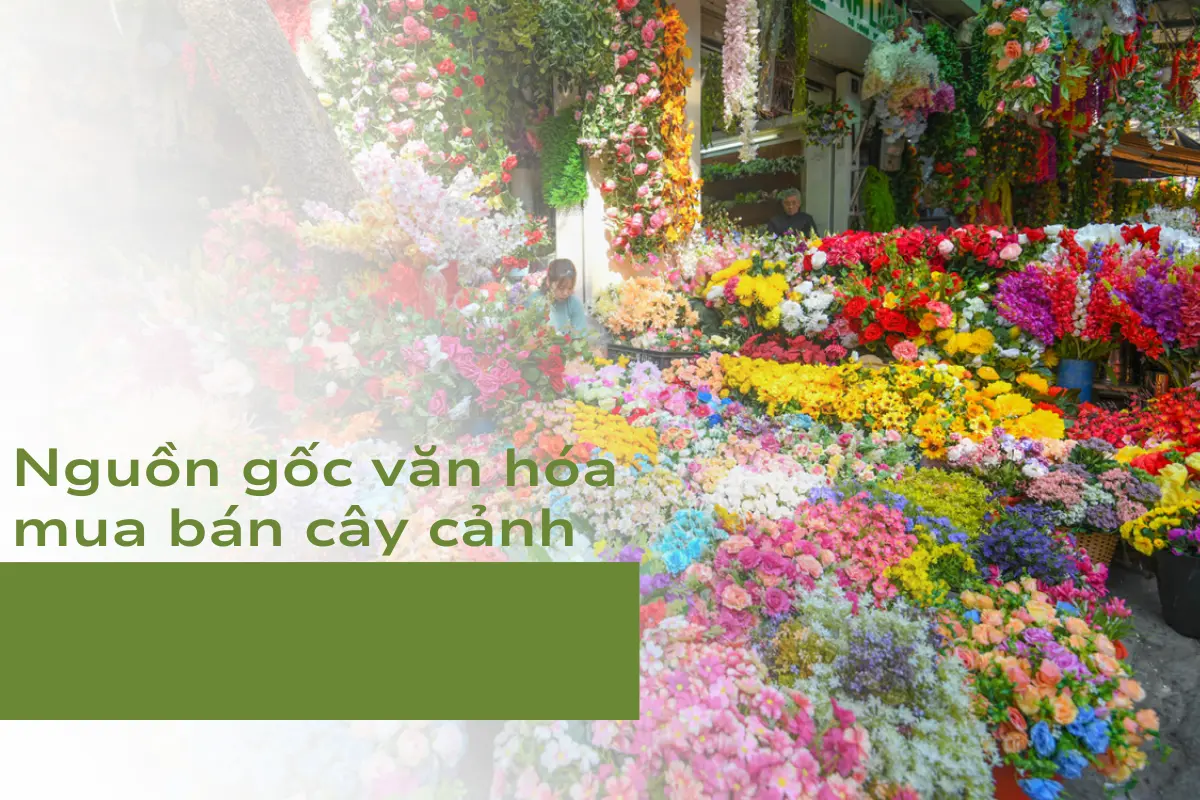 Nguồn gốc văn hóa mua bán cây cảnh