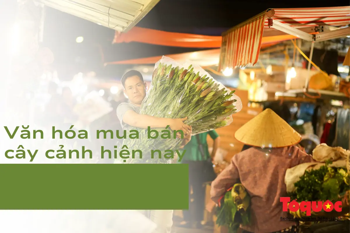 Văn hóa mua bán cây cảnh hiện nay