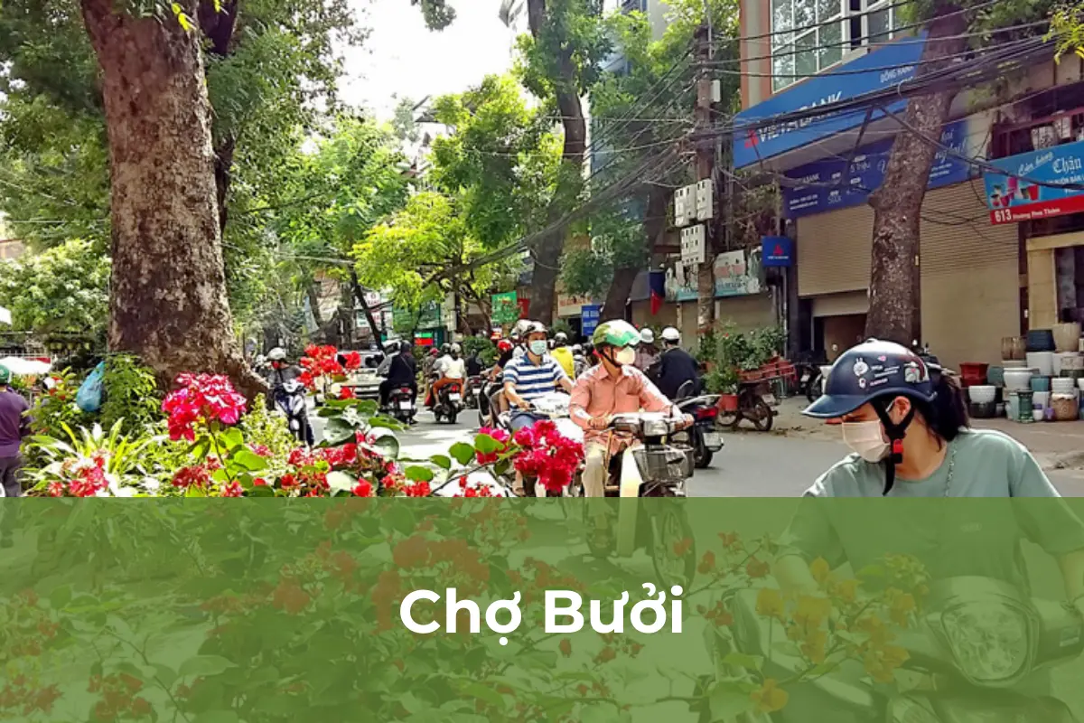 Chợ Bưởi: Chợ mua bán cây cảnh nổi tiếng nhất