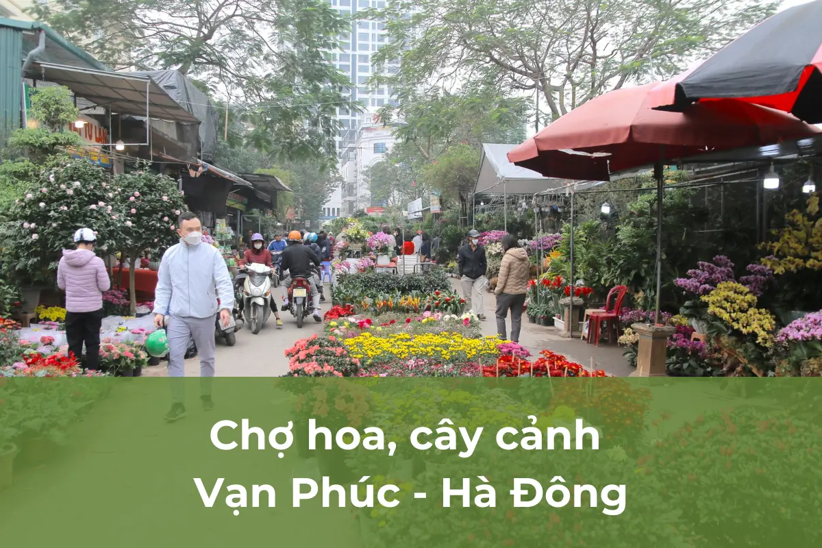Chợ hoa, cây cảnh Vạn Phúc - Hà Đông
