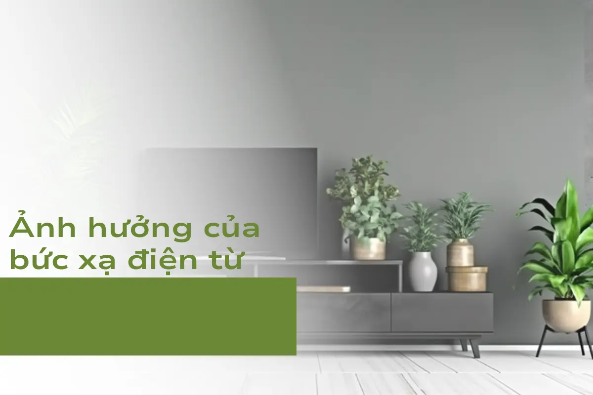 Những ảnh hưởng