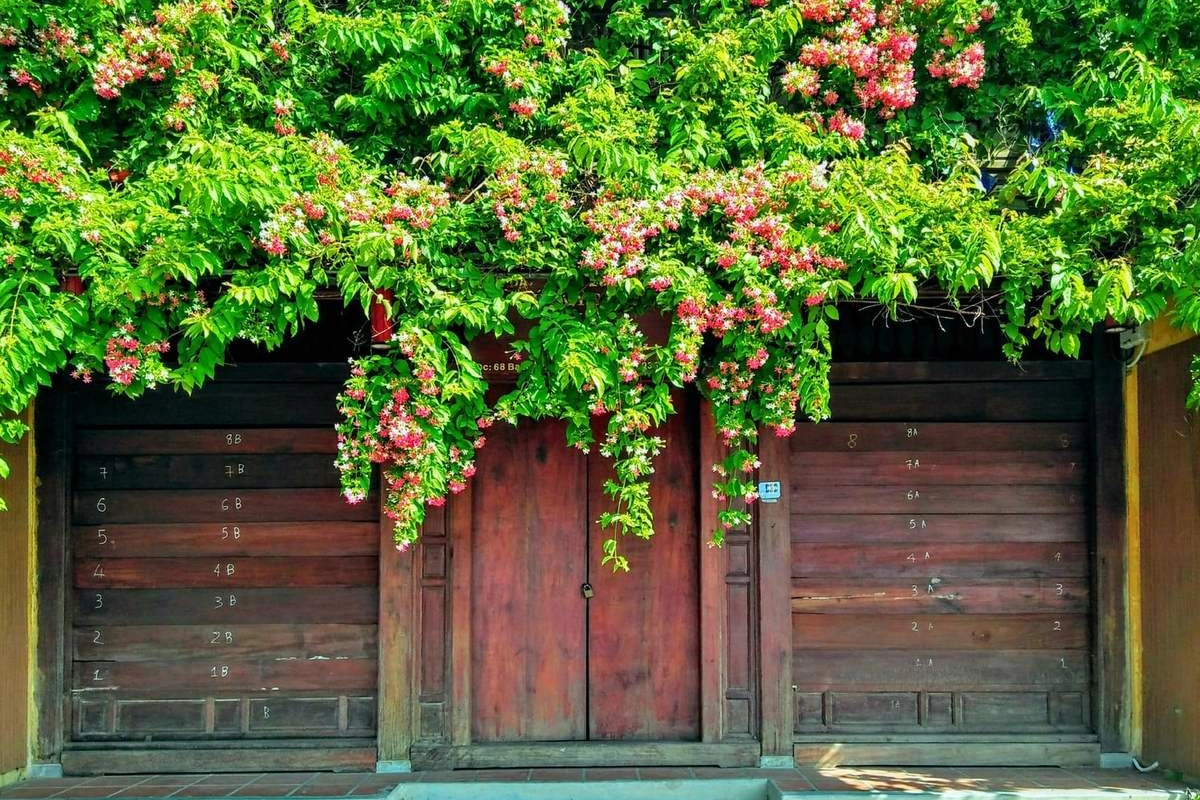 Sử quân tử thích môi trường ấm áp