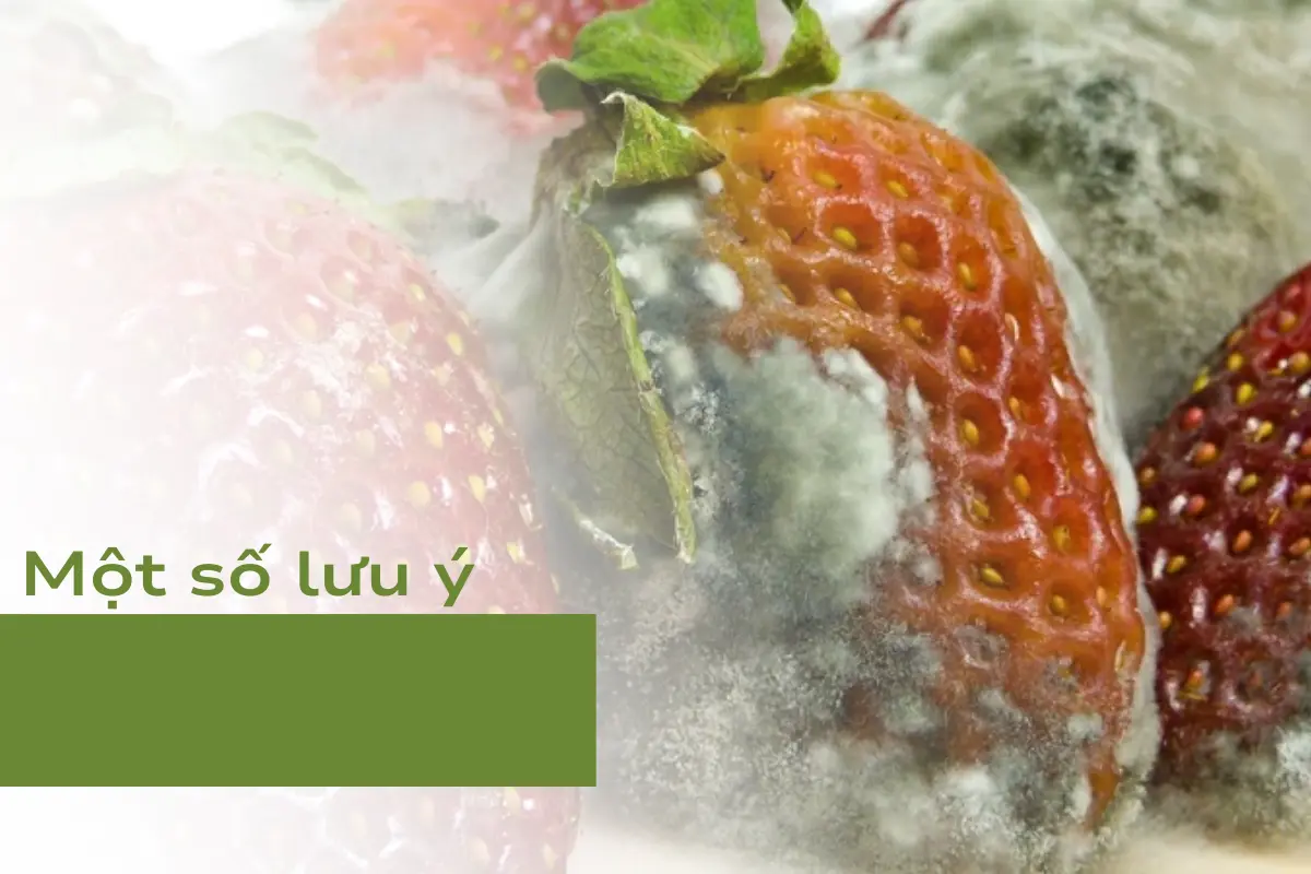 Một số lưu ý khi trồng cây