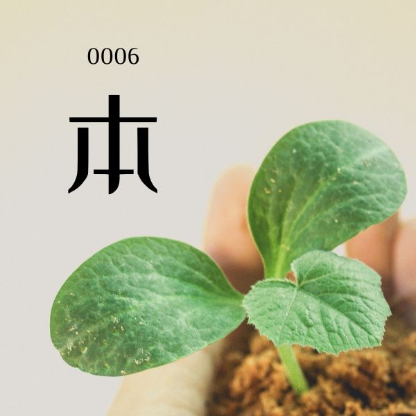 5000 từ vựng tiếng Trung 0006 – 本 – HSK1