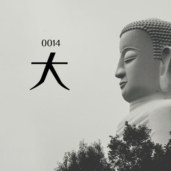 5000 từ vựng tiếng Trung 0014 – 大 – HSK1