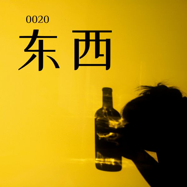 5000 từ vựng tiếng Trung 0020 – 东西 – HSK1