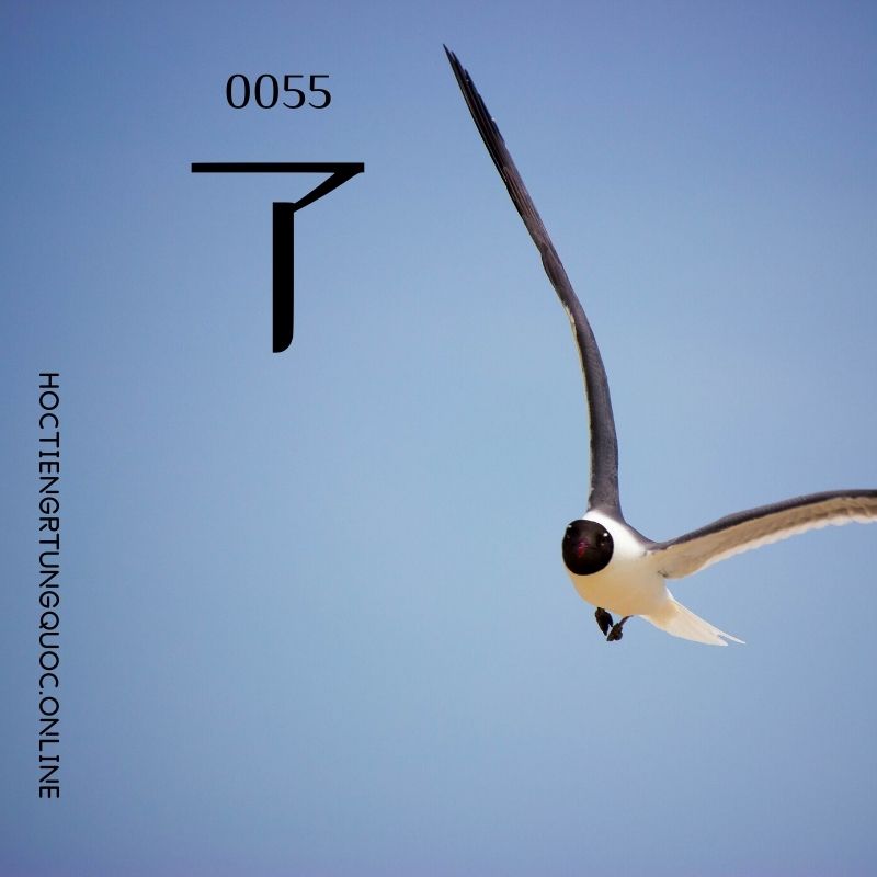 0055 – 了 – hsk1 – tu dien tam ngu 5099 tu vung hsk 1 6