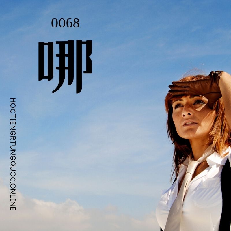 0068 – 哪 – hsk1 – tu dien tam ngu 5099 tu vung hsk 1 6