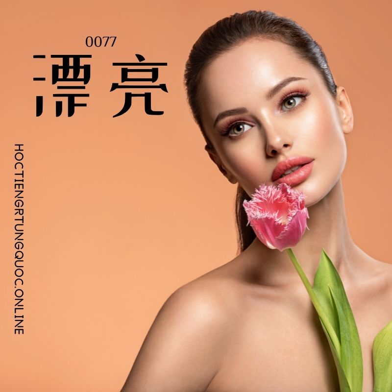 0077 – 漂亮 – hsk1 – tu dien tam ngu 5099 tu vung hsk 1 6 1