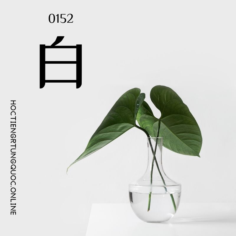 0152 – 白 – hsk2 – tu dien tam ngu 5099 tu vung hsk 1 6