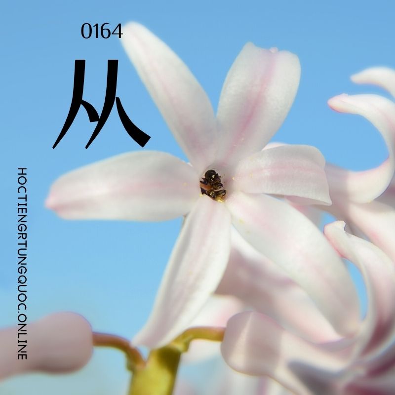 0164 – 从 – hsk2 – tu dien tam ngu 5099 tu vung hsk 1 6 1