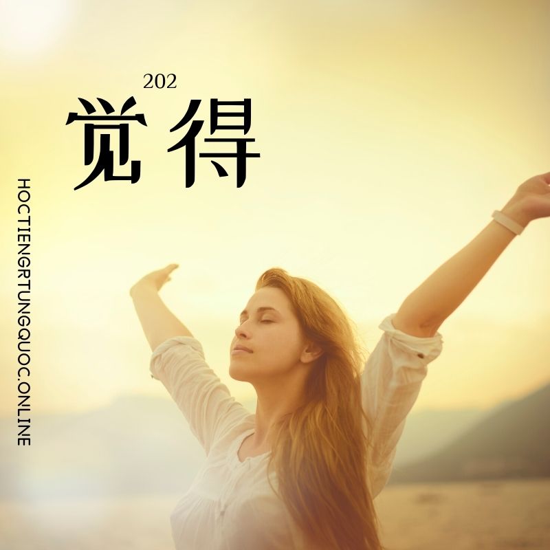 0202 – 觉得 – HSK2 – Tu dien tam ngu 5099 tu vung HSK 1 6