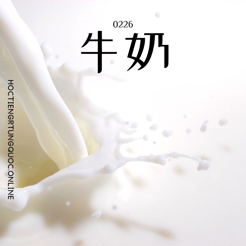 0226 – 牛奶 – HSK2 – Tu dien tam ngu 5099 tu vung HSK 1 6