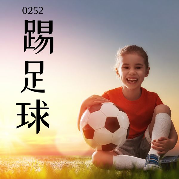 0252 – 踢足球 – HSK2 – Tu dien tam ngu 5099 tu vung HSK 1 6 1