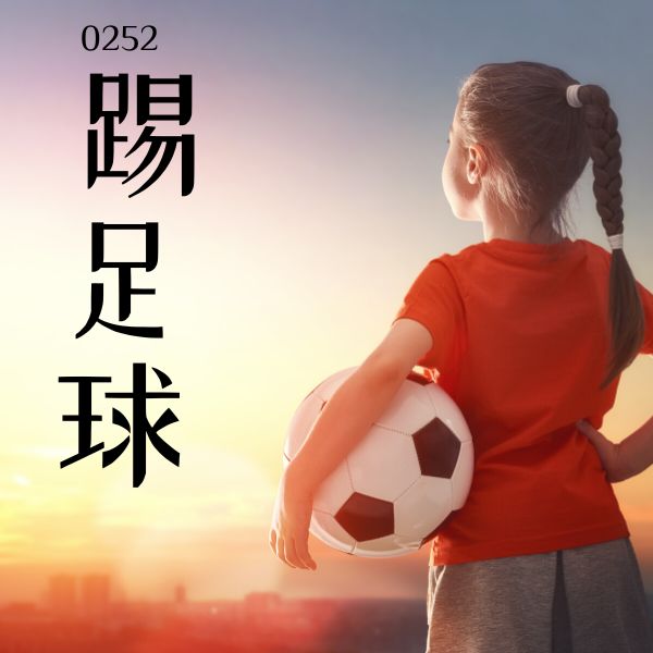 0252 – 踢足球 – HSK2 – Tu dien tam ngu 5099 tu vung HSK 1 6