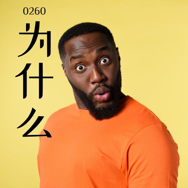 0260 – 为什么 – HSK2 – Tu dien tam ngu 5099 tu vung HSK 1 6 1