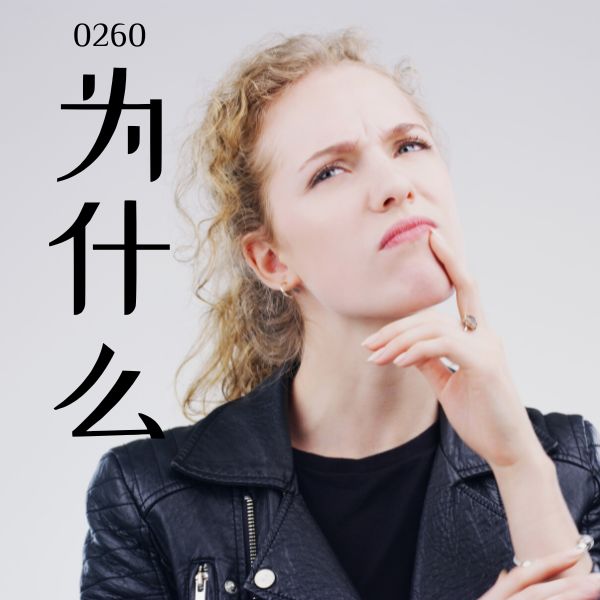 0260 – 为什么 – HSK2 – Tu dien tam ngu 5099 tu vung HSK 1 6