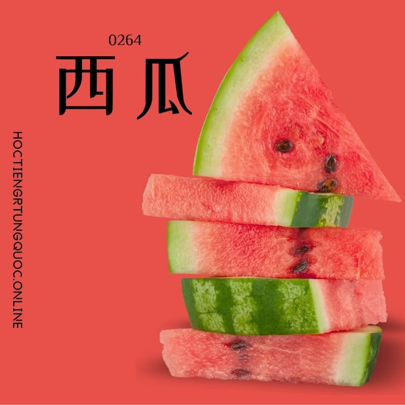 0264 – 西瓜 – HSK2 – Tu dien tam ngu 5099 tu vung HSK 1 6 1