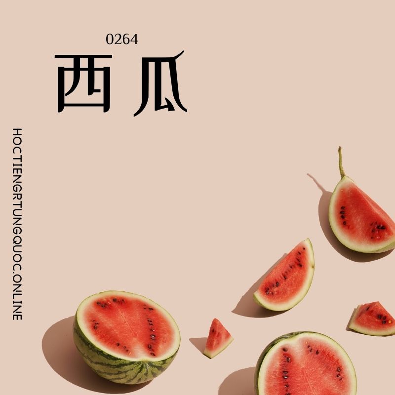 0264 – 西瓜 – HSK2 – Tu dien tam ngu 5099 tu vung HSK 1 6